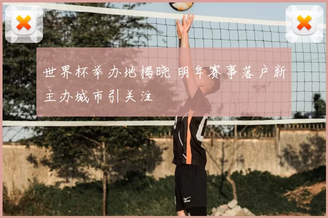 世界杯举办地揭晓 明年赛事落户新主办城市引关注