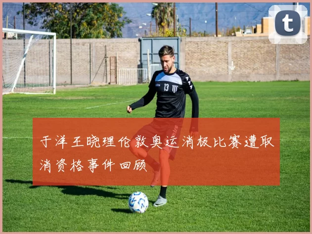 于洋王晓理伦敦奥运消极比赛遭取消资格事件回顾